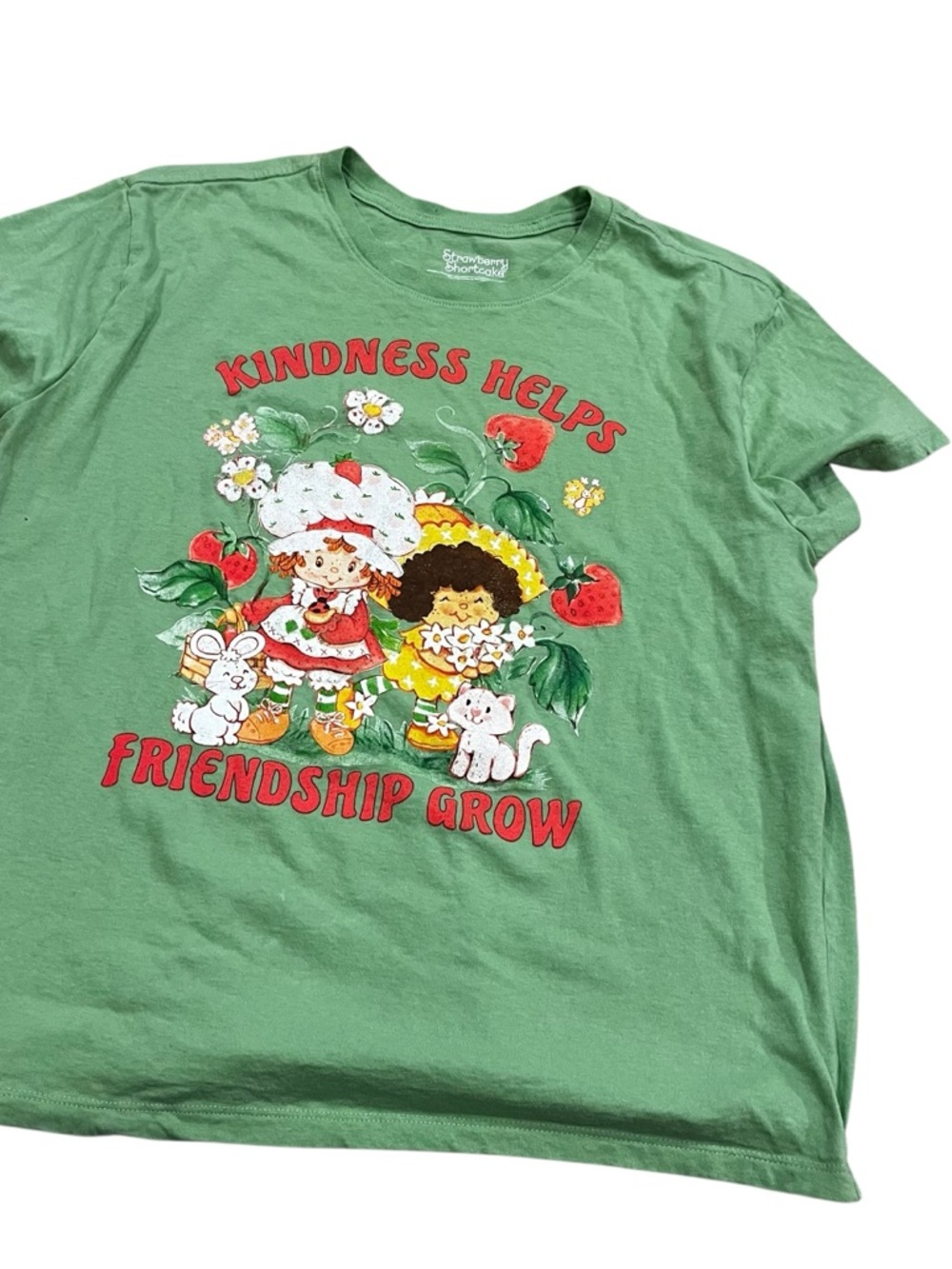 Strawberry shortcake kindness friendship green T-shirt xl